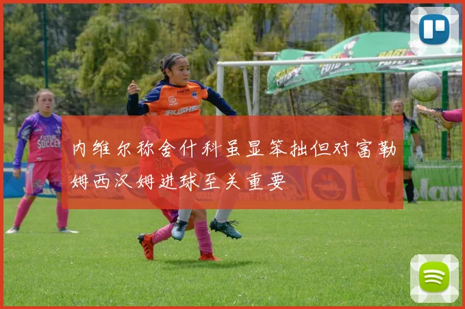 内维尔称舍什科虽显笨拙但对富勒姆西汉姆进球至关重要