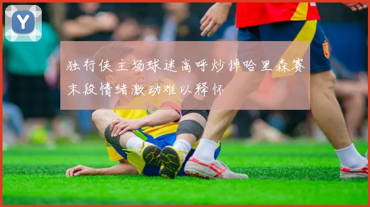 独行侠主场球迷高呼炒掉哈里森赛末段情绪激动难以释怀