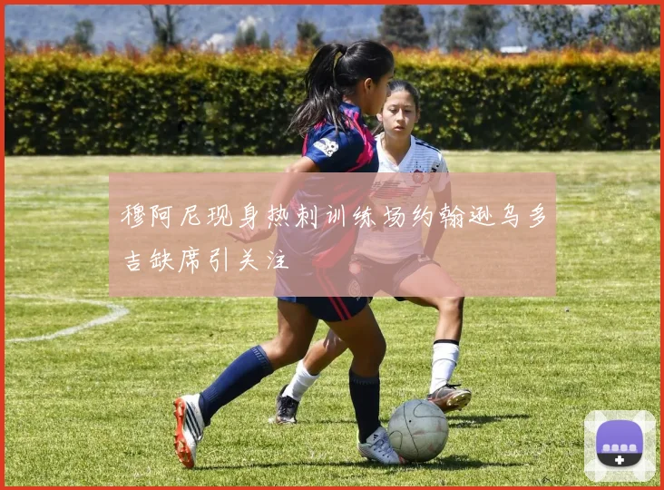 穆阿尼现身热刺训练场约翰逊乌多吉缺席引关注