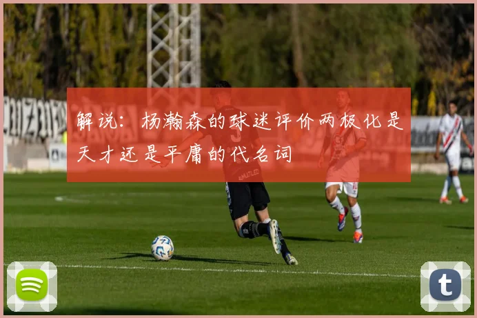 解说：杨瀚森的球迷评价两极化是天才还是平庸的代名词