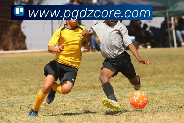 PG电子模拟器服务体系